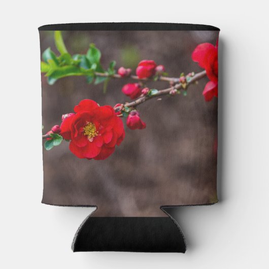 Oberteil Dosenkühler (Rückseite)