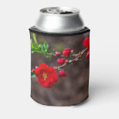 Oberteil Dosenkühler (Kanne Rückseite)