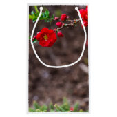 Oberteil Kleine Geschenktüte (Rückseite)