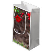 Oberteil Kleine Geschenktüte (Rückseite Schrägansicht)