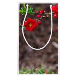 Oberteil Kleine Geschenktüte