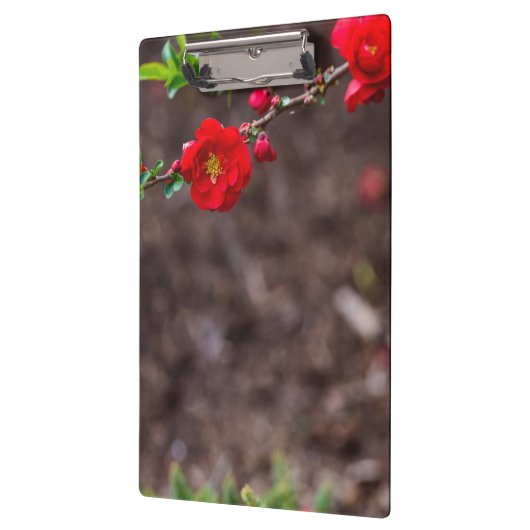 Oberteil Klemmbrett (Links)