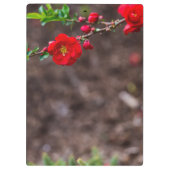 Oberteil Klemmbrett (Rückseite)