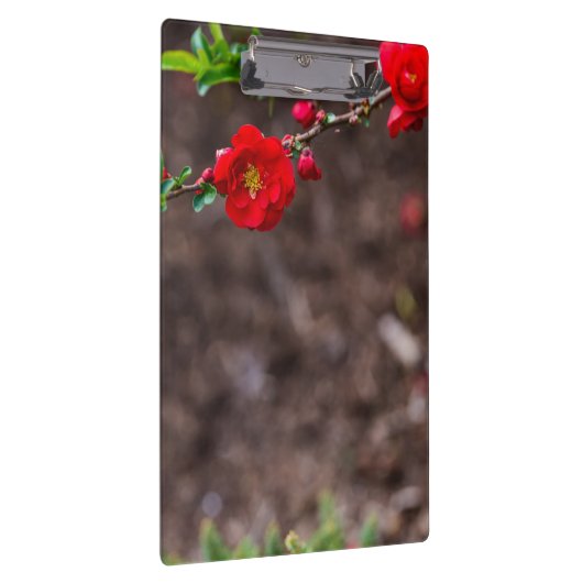 Oberteil Klemmbrett (Rechts)