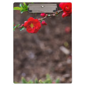 Oberteil Klemmbrett (Vorderseite)