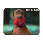 Obey der Vizsla Chewy Hat Magnet (Horizontal)