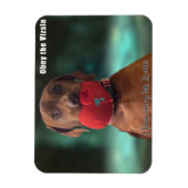 Obey der Vizsla Chewy Hat Magnet (Vertikal)