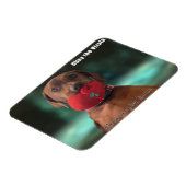 Obey der Vizsla Chewy Hat Magnet (Linke Seite)