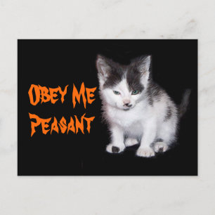 Obey Me Bauant Postkarte