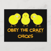 Obey The Crazy Chicks Postkarte (Vorderseite)