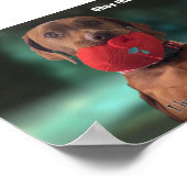 Obey Vizsla Poster (Ecke)