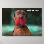 Obey Vizsla Poster (Vorne)