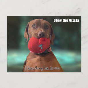 Obey Vizsla Postkarte