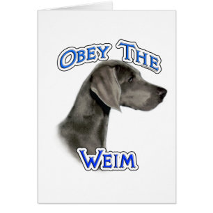 Obey Weimaraner