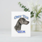 Obey Weimaraner Postkarte (Stehend Vorderseite)