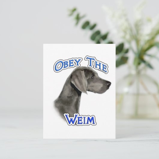 Obey Weimaraner Postkarte (Stehend Vorderseite)