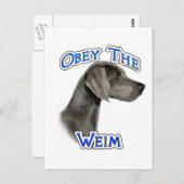 Obey Weimaraner Postkarte (Vorne/Hinten)