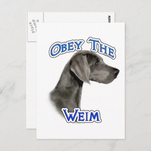 Obey Weimaraner Postkarte (Vorne/Hinten)