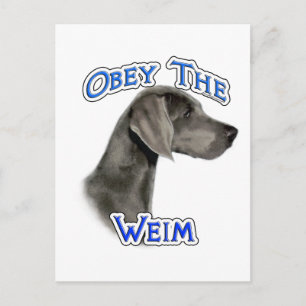 Obey Weimaraner Postkarte