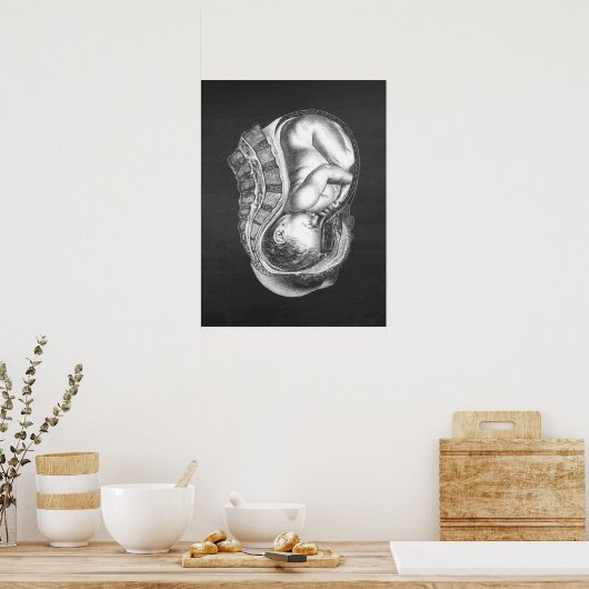 OBGYN Anatomy Art Decor Nr. 3 Poster (Küche)