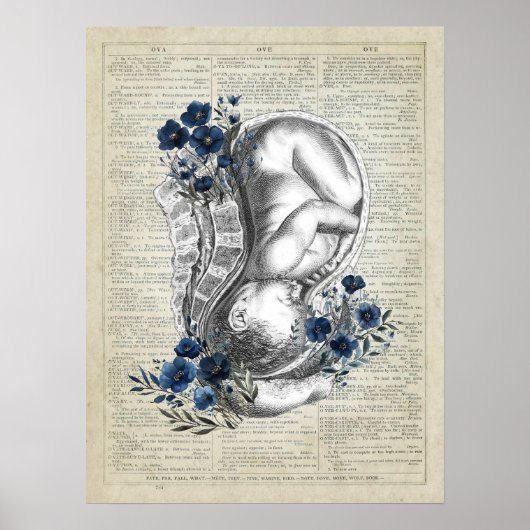OBGYN Geschenkanatomie des Babys in Frau w/Blue Fl Poster (Vorne)