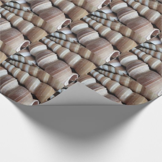 Oblong Summer Seashells, Sommersaison Geschenkpapier (Ecke)