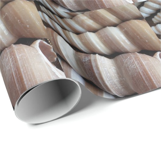 Oblong Summer Seashells, Sommersaison Geschenkpapier (Rolleneckpunkt)
