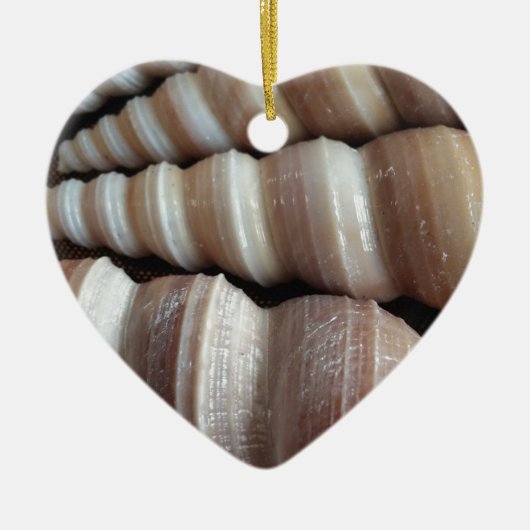 Oblong Summer Seashells, Sommersaison Keramik Ornament (Vorne)