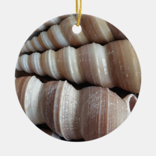 Oblong Summer Seashells, Sommersaison Keramik Ornament (Vorne)