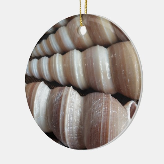 Oblong Summer Seashells, Sommersaison Keramik Ornament (Links)