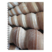 Oblong Summer Seashells, Sommersaison Notizblock (Vorderseite)