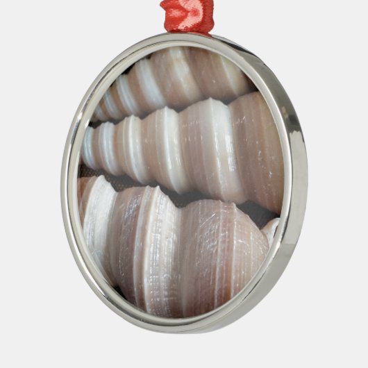 Oblong Summer Seashells, Sommersaison Ornament Aus Metall (Links)