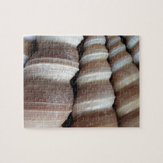Oblong Summer Seashells, Sommersaison Puzzle (Horizontal)