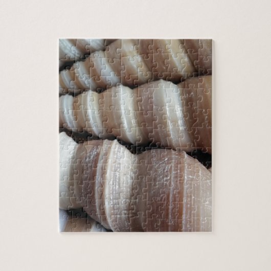 Oblong Summer Seashells, Sommersaison Puzzle (Vertikal)