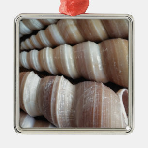 Oblong Summer Seashells, Sommersaison Silbernes Ornament