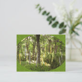 Oboe Forest Postkarte (Stehend Vorderseite)