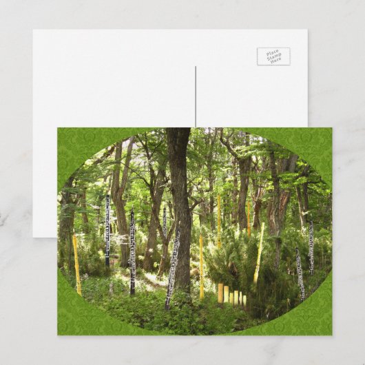 Oboe Forest Postkarte (Vorne/Hinten)