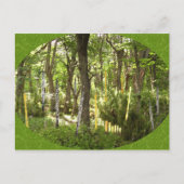 Oboe Forest Postkarte (Vorderseite)