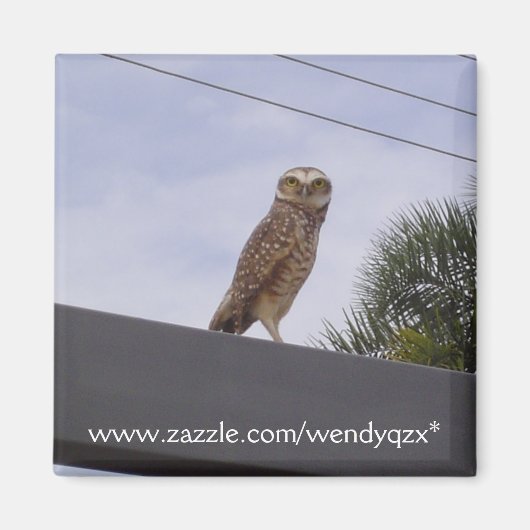 Observant Owl Magnet (Vorne)