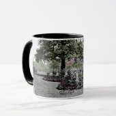 Observatorium Weston Park Sheffield England 1916 Tasse (Vorderseite Links)