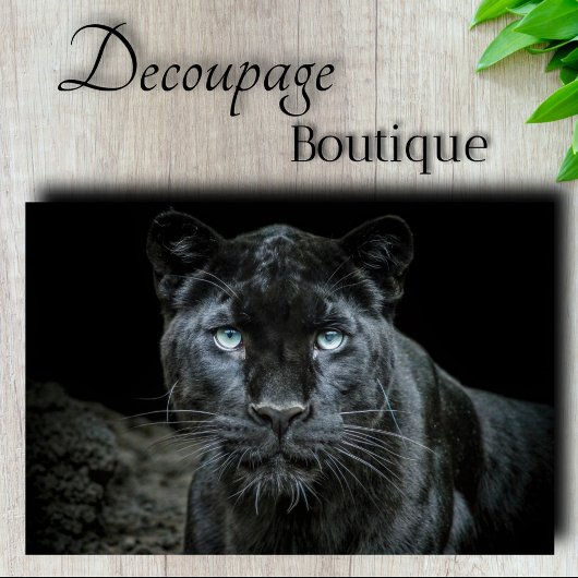 Obsidian Eyes Decoupage Seidenpapier