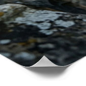 Obsidian-Krähe-Gotischer Turm Poster (Ecke)