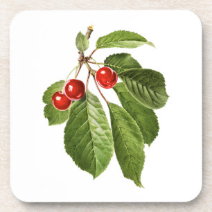 Obst: A015 Kirsche - Getränkeuntersetzer