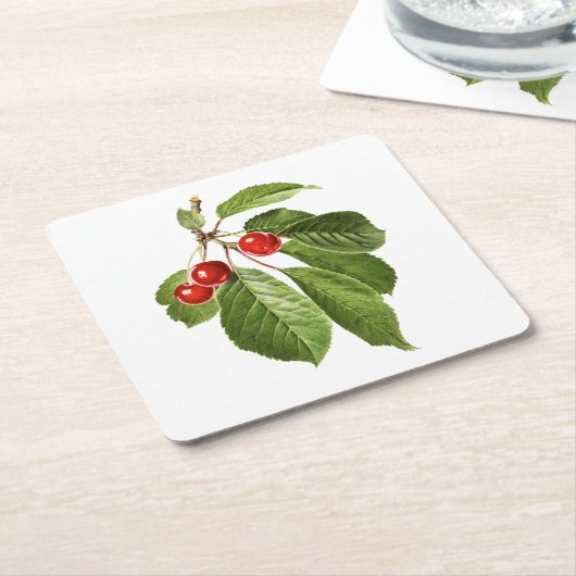 Obst: A015 Kirsche - Rechteckiger Pappuntersetzer (angewinkelt)