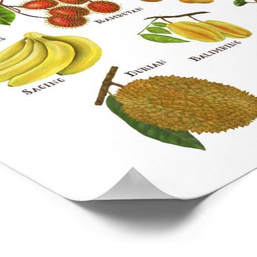 Obst auf den Philippinen Poster (Ecke)