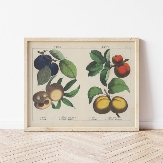 Obst | Charlotte Mary Yonge Poster
