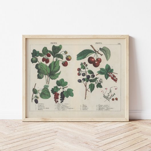 Obst | Charlotte Mary Yonge Poster