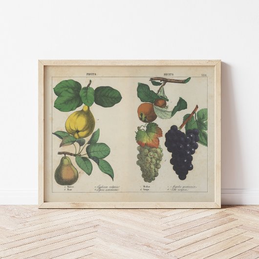 Obst | Charlotte Mary Yonge Poster