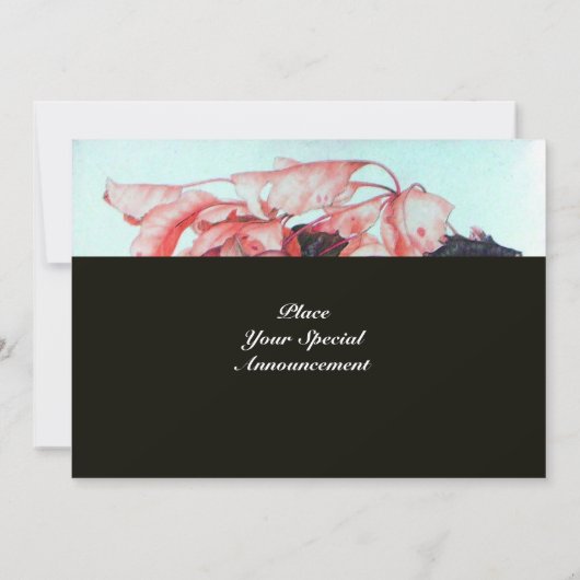 OBST DER SAISON 2,rosa, blau, schwarz Ankündigung (Rückseite)