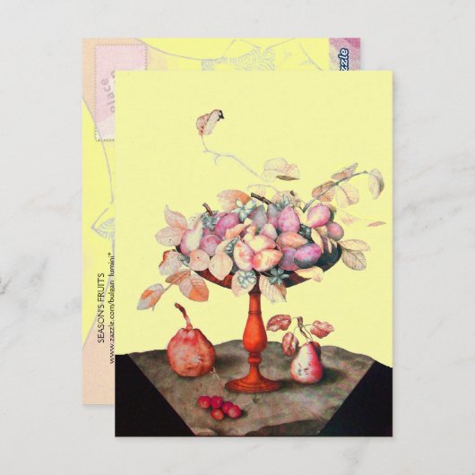 OBST DER SAISON 5 POSTKARTE (Vorne/Hinten)